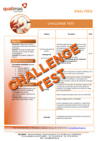 Document Challenge Test