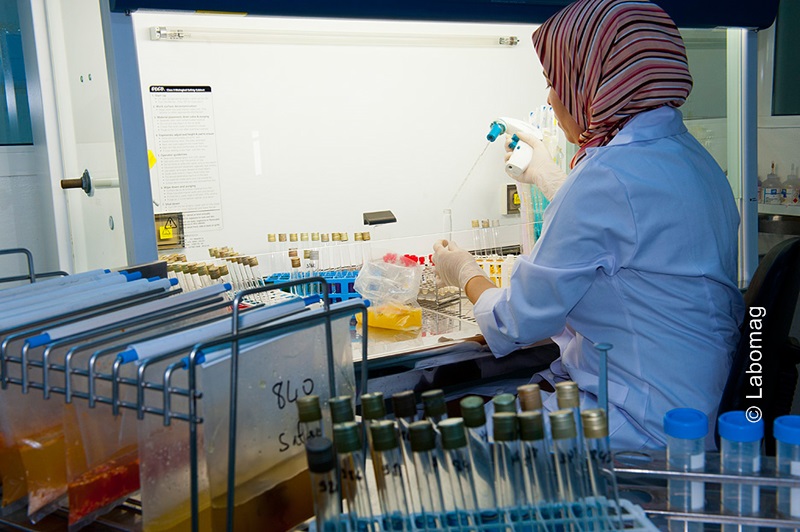 ﻿Préparation des échantillons alimentaires <br />Laboratoire de microbiologie